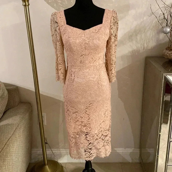 𝅺ARROGANT cat lace dress size S NWT - Picture 1 of 8